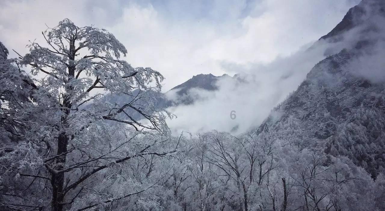 月光影视